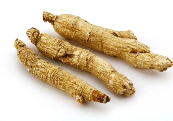 GINSENG