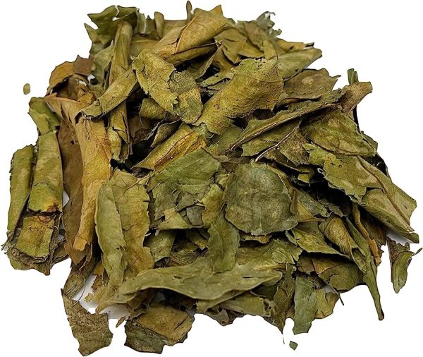 Hoja de Naranjo